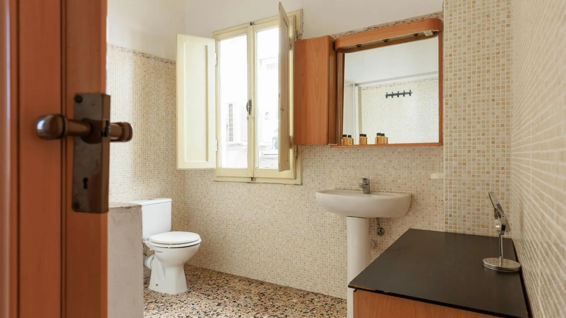 Faenza Huge Apartment Florence Italy